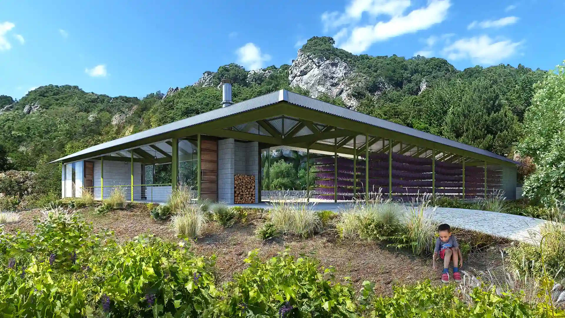 House Above a Vineyard 1